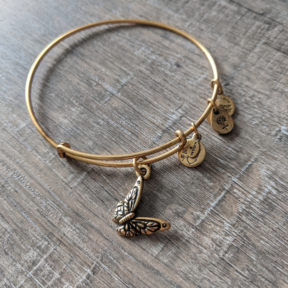 🦋 Alex and Ani Butterfly charm bracelet